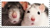 stamps